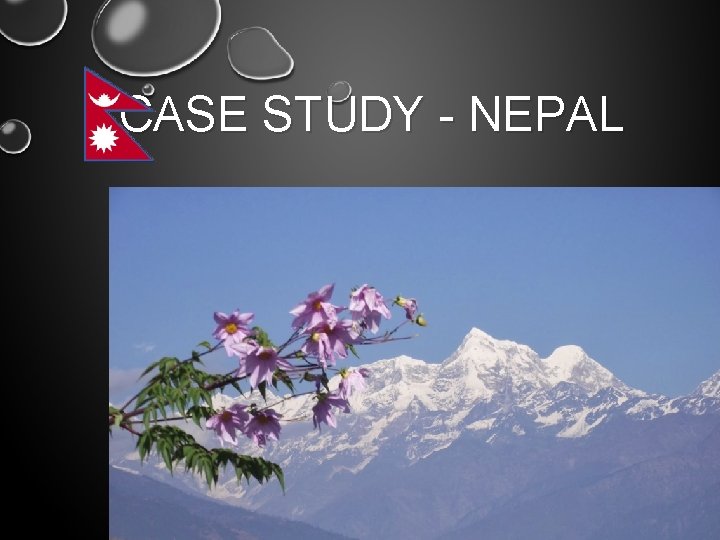 CASE STUDY - NEPAL 