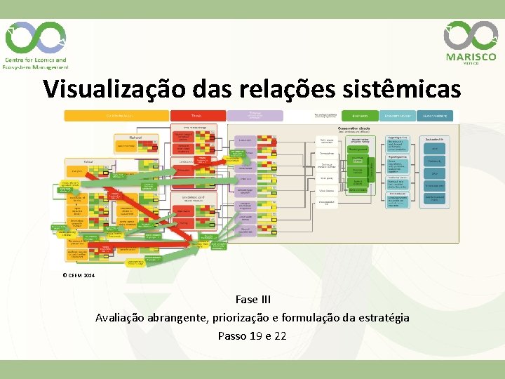 Visualização das relações sistêmicas © CEEM 2014 Fase III Avaliação abrangente, priorização e formulação