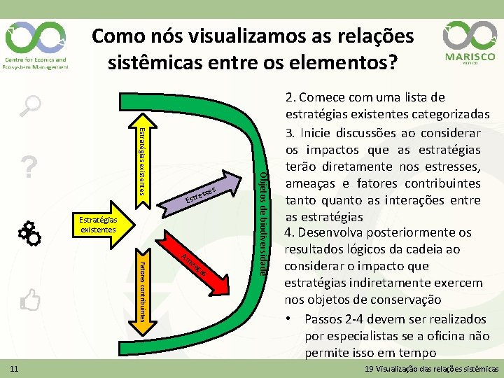 Como nós visualizamos as relações sistêmicas entre os elementos? es Estratégias existentes Fatores contribuintes