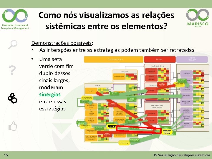 Como nós visualizamos as relações sistêmicas entre os elementos? Demonstrações possíveis: • As interações