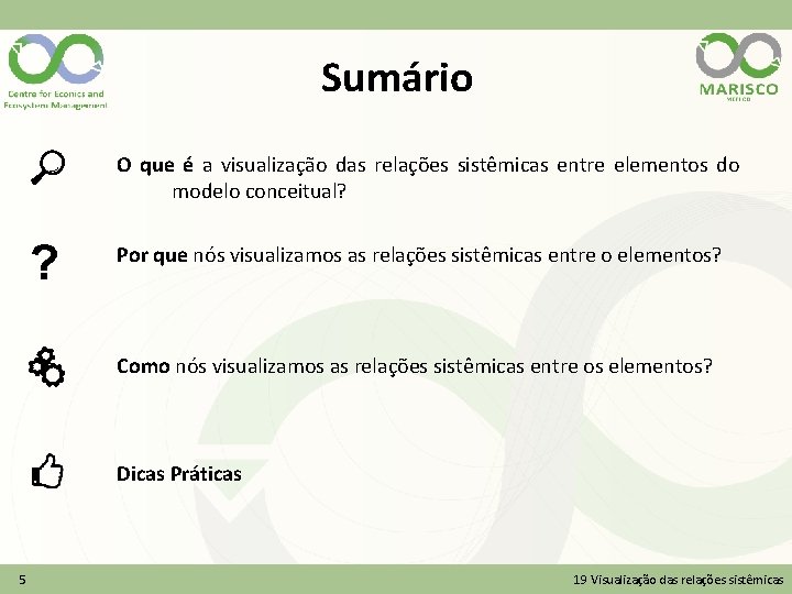 Sumário O que é a visualização das relações sistêmicas entre elementos do modelo conceitual?