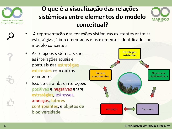 O que é a visualização das relações sistêmicas entre elementos do modelo conceitual? •