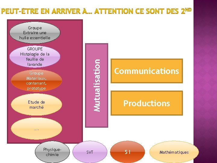 GROUPE Histologie de la feuille de lavande Groupe Matériaux, contenant, prototype Etude de marché