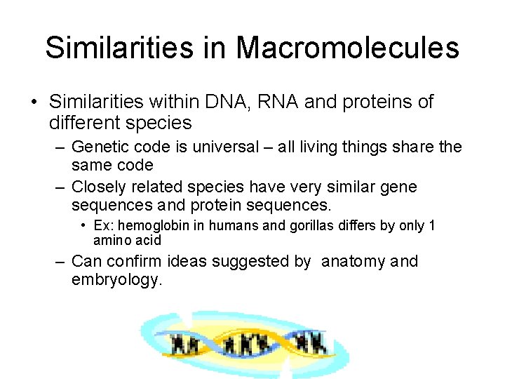Similarities in Macromolecules • Similarities within DNA, RNA and proteins of different species – Similarities in Macromolecules • Similarities within DNA, RNA and proteins of different species –