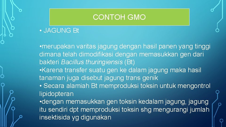 CONTOH GMO • JAGUNG Bt • merupakan varitas jagung dengan hasil panen yang tinggi