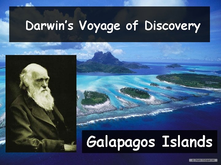 Darwin’s Voyage of Discovery Galapagos Islands 