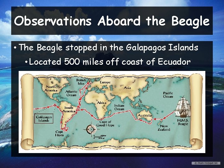 Observations Aboard the Beagle • The Beagle stopped in the Galapagos Islands • Located