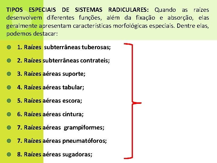 TIPOS ESPECIAIS DE SISTEMAS RADICULARES: Quando as raízes desenvolvem diferentes funções, além da fixação
