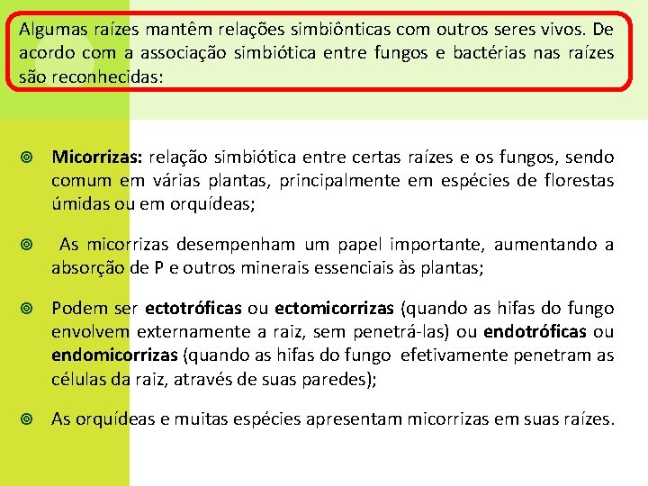 Algumas raízes mantêm relações simbiônticas com outros seres vivos. De acordo com a associação