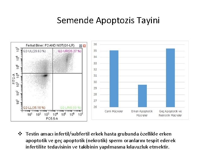 Semende Apoptozis Tayini v Testin amacı infertil/subfertil erkek hasta grubunda özellikle erken apoptotik ve