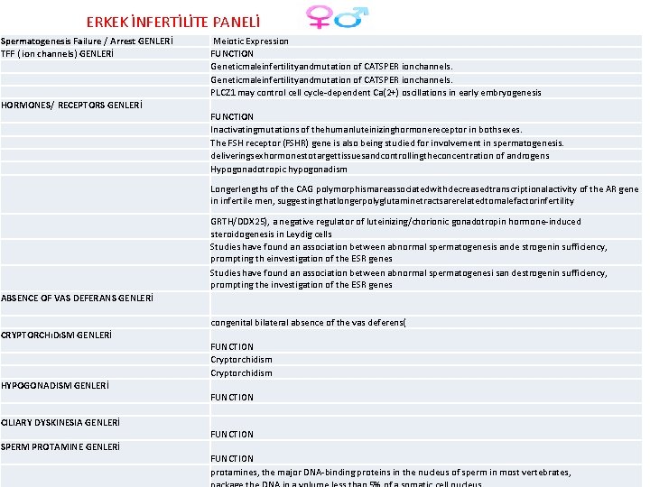 ERKEK İNFERTİLİTE PANELİ Spermatogenesis Failure / Arrest GENLERİ TFF ( ion channels) GENLERİ HORMONES/