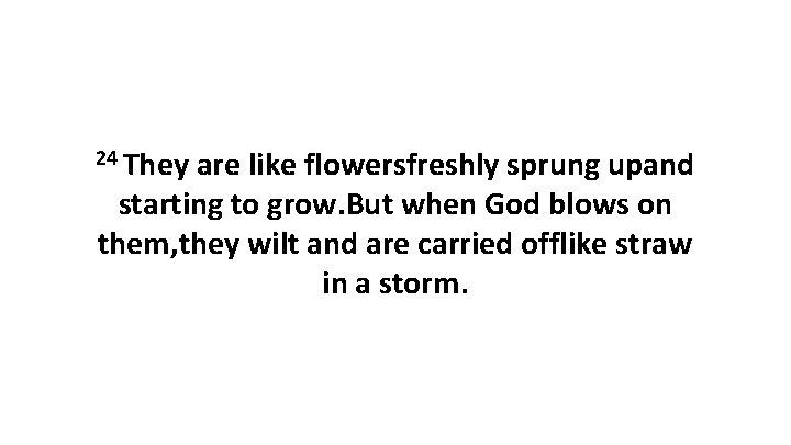 24 They are like flowersfreshly sprung upand starting to grow. But when God blows
