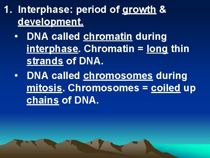 1. Interphase: period of growth & development. • DNA called chromatin during interphase. Chromatin