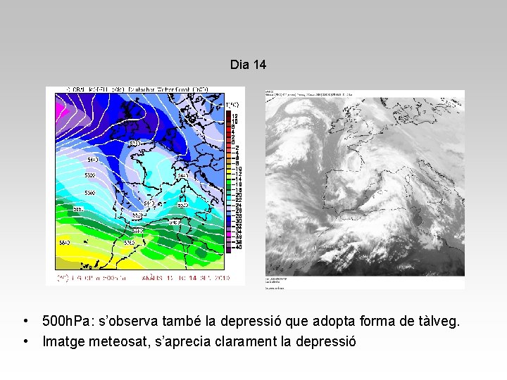 Dia 14 • 500 h. Pa: s’observa també la depressió que adopta forma de