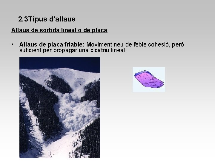 2. 3 Tipus d'allaus Allaus de sortida lineal o de placa • Allaus de