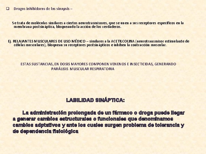q Drogas inhibidoras de las sinapsis – Se trata de moléculas similares a ciertos q Drogas inhibidoras de las sinapsis – Se trata de moléculas similares a ciertos