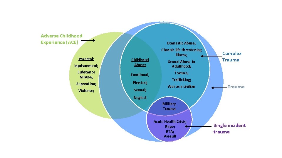 Adverse Childhood Experience (ACE) Parental: Domestic Abuse; Inprisonment; Childhood Abuse: Substance Misuse; Emotional; Separation;