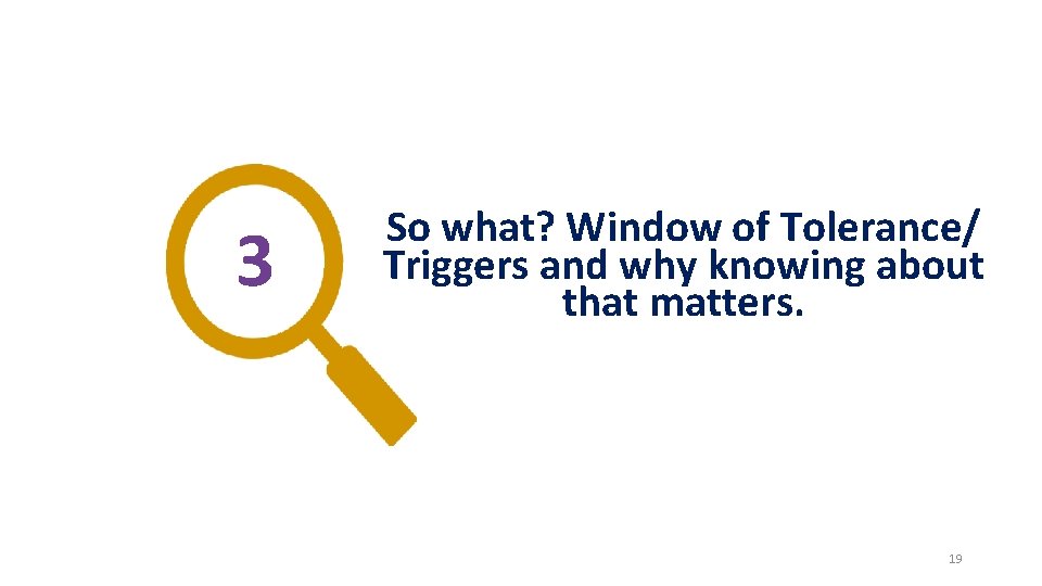 3 So what? Window of Tolerance/ Triggers and why knowing about that matters. 19