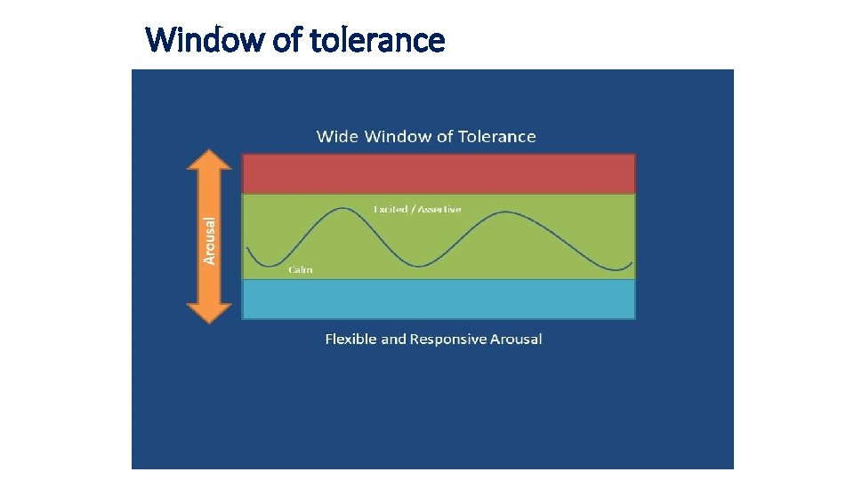 Window of tolerance 