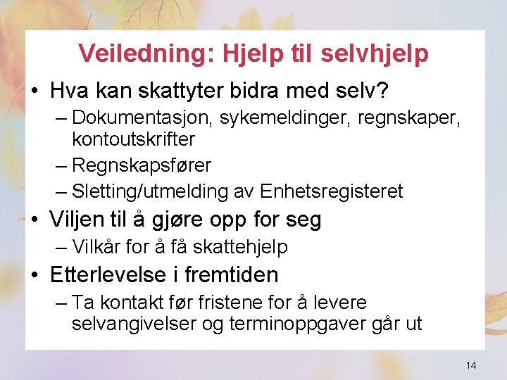 Veiledning: Hjelp til selvhjelp • Hva kan skattyter bidra med selv? – Dokumentasjon, sykemeldinger,