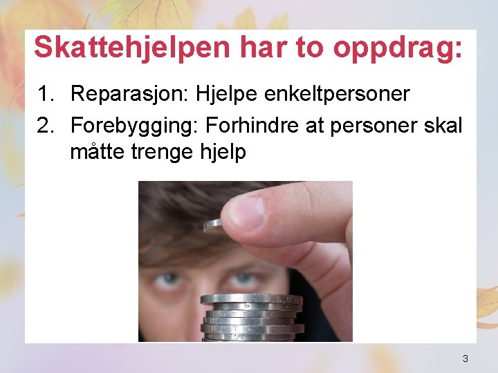 Skattehjelpen har to oppdrag: 1. Reparasjon: Hjelpe enkeltpersoner 2. Forebygging: Forhindre at personer skal