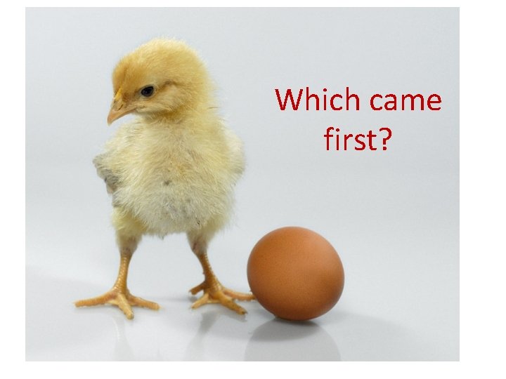 Which came first? 