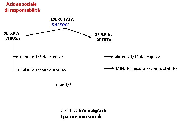 Azione sociale di responsabilità ESERCITATA DAI SOCI SE S. P. A. CHIUSA SE S.