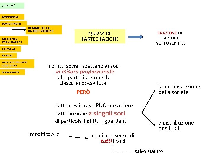 „GRIGLIA“ COSTITUZIONE CONFERIMENTI REGIME DELLA PARTECIPAZIONE QUOTA DI PARTECIPAZIONE REGOLE DELLA ORGANIZZAZIONE FRAZIONE DI