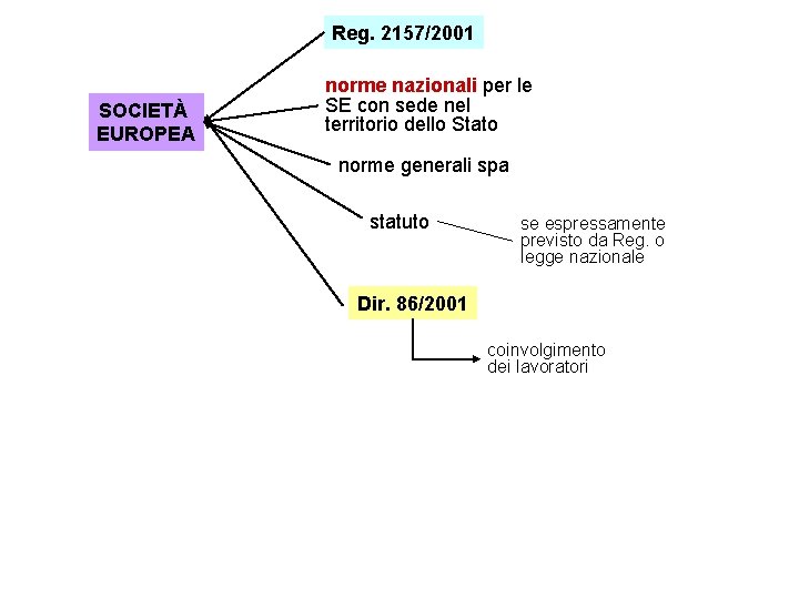 Reg. 2157/2001 SOCIETÀ EUROPEA norme nazionali per le SE con sede nel territorio dello