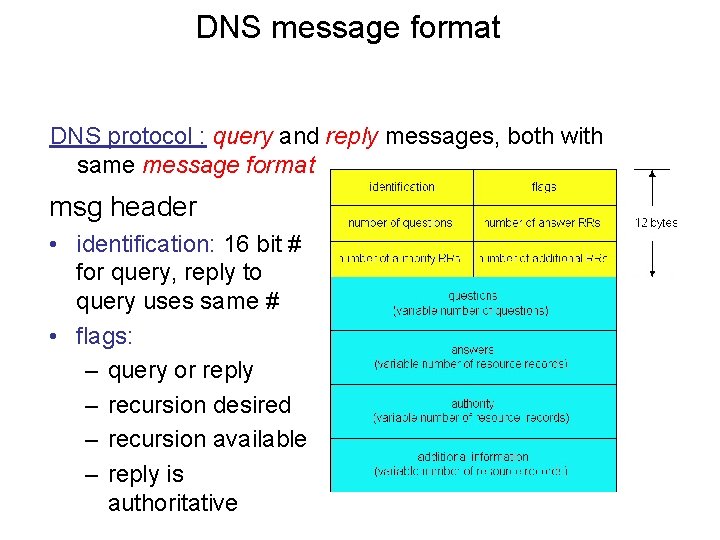 DNS message format DNS protocol : query and reply messages, both with same message