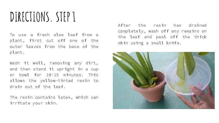 DIRECTIONS. STEP 1 To use a fresh aloe leaf from a plant, first cut