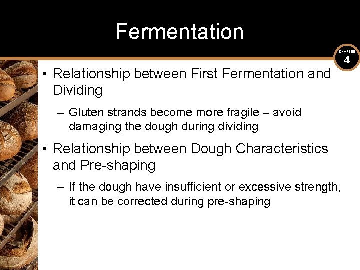 Fermentation CHAPTER • Relationship between First Fermentation and Dividing – Gluten strands become more