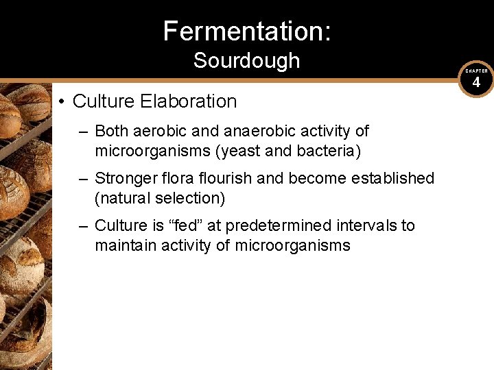 Fermentation: Sourdough • Culture Elaboration – Both aerobic and anaerobic activity of microorganisms (yeast