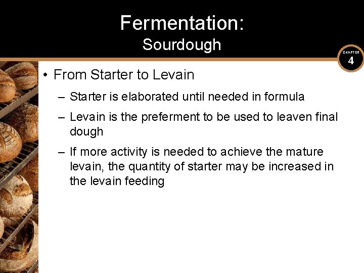 Fermentation: Sourdough • From Starter to Levain – Starter is elaborated until needed in