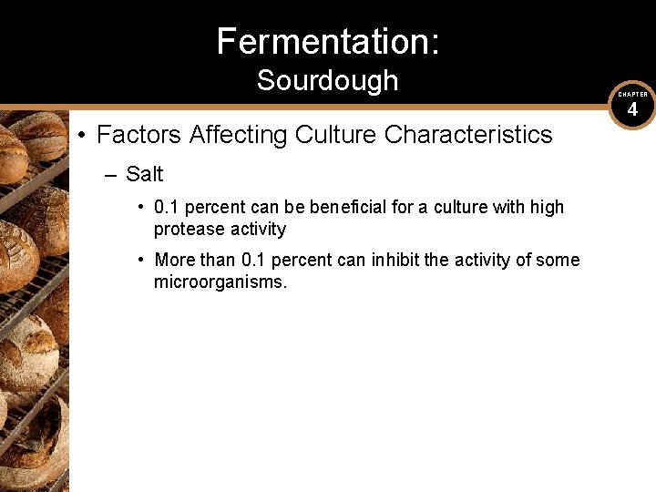Fermentation: Sourdough • Factors Affecting Culture Characteristics – Salt • 0. 1 percent can