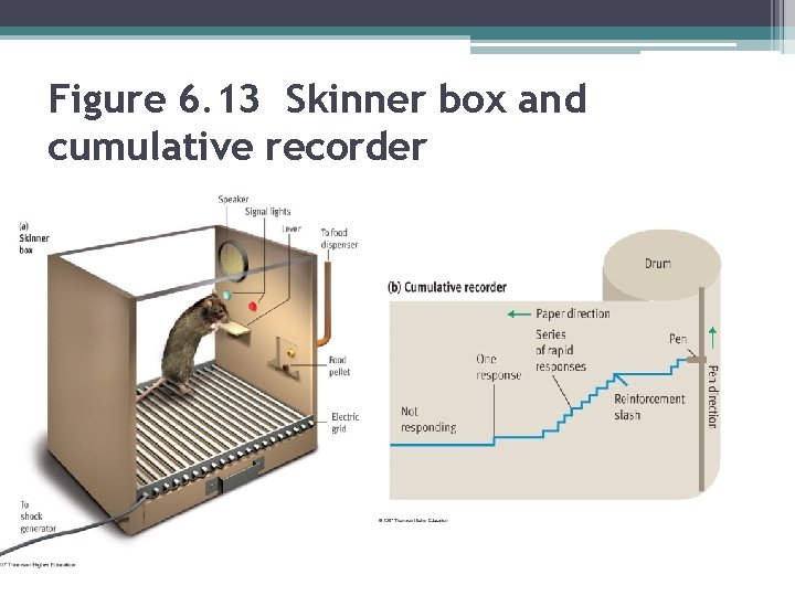 Figure 6. 13 Skinner box and cumulative recorder 