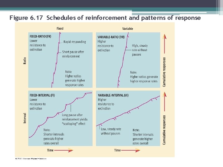 Figure 6. 17 Schedules of reinforcement and patterns of response 