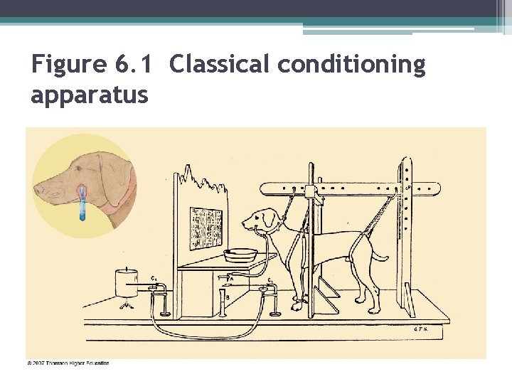 Figure 6. 1 Classical conditioning apparatus 