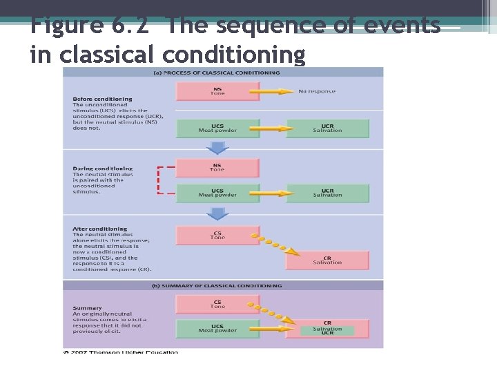 Figure 6. 2 The sequence of events in classical conditioning 