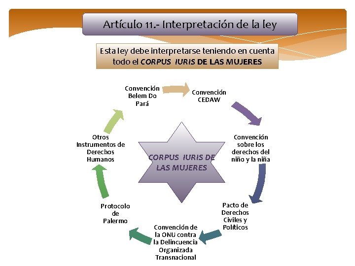 Artículo 11. - Interpretación de la ley Esta ley debe interpretarse teniendo en cuenta