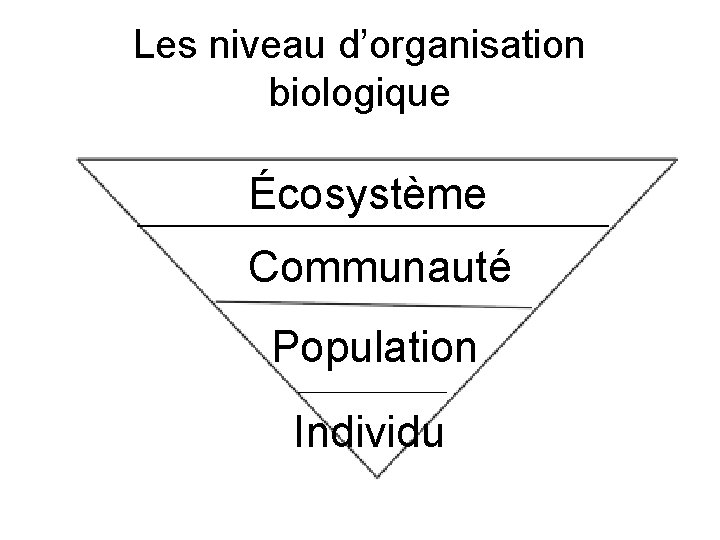 Les niveau d’organisation biologique Écosystème Communauté Population Individu 