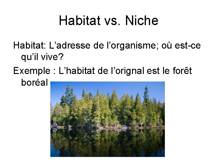 Habitat vs. Niche Habitat: L’adresse de l’organisme; où est-ce qu’il vive? Exemple : L’habitat