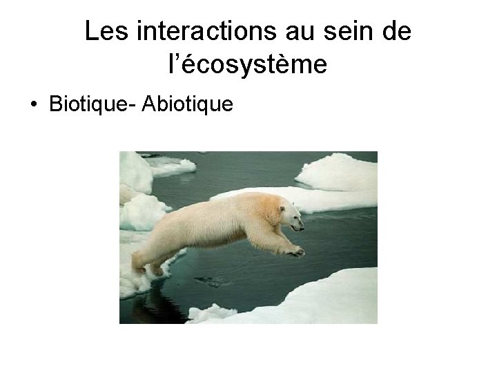 Les interactions au sein de l’écosystème • Biotique- Abiotique 