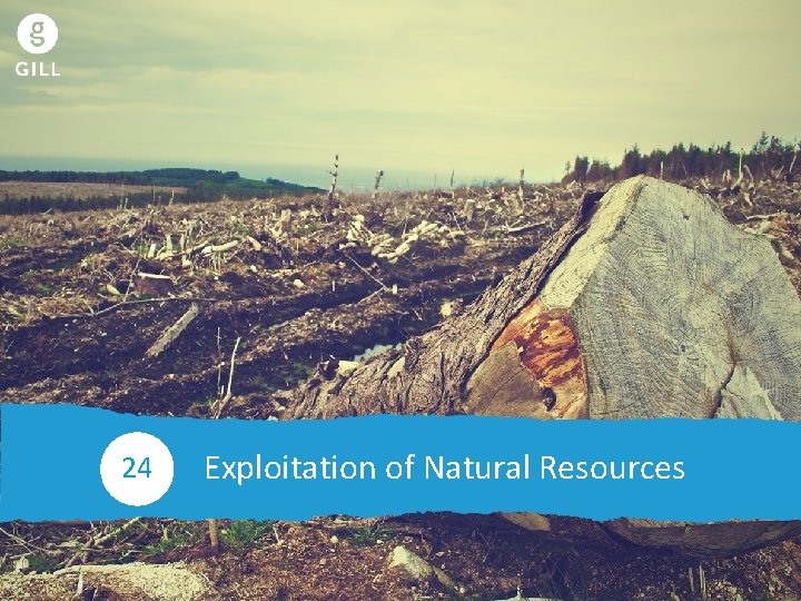 Exploitation of Natural Resources 24 