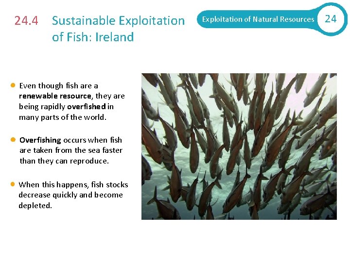 24. 4 Sustainable Exploitation of Fish: Ireland Even though fish are a renewable resource,