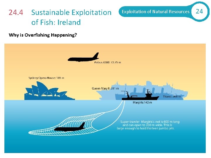 24. 4 Sustainable Exploitation of Fish: Ireland Why is Overfishing Happening? Exploitation of Natural