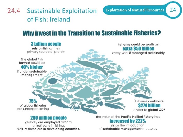 24. 4 Sustainable Exploitation of Fish: Ireland Exploitation of Natural Resources 24 
