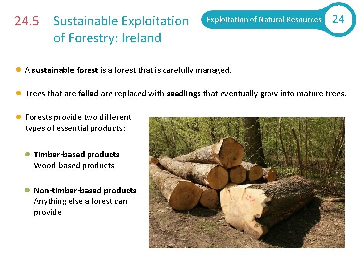 24. 5 Sustainable Exploitation of Forestry: Ireland Exploitation of Natural Resources 24 A sustainable