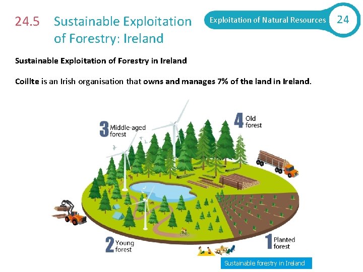 24. 5 Sustainable Exploitation of Forestry: Ireland Exploitation of Natural Resources Sustainable Exploitation of