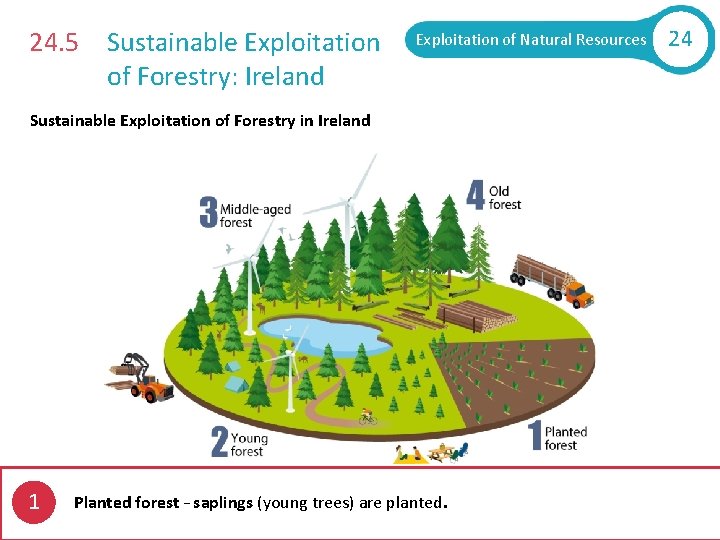 24. 5 Sustainable Exploitation of Forestry: Ireland Exploitation of Natural Resources Sustainable Exploitation of